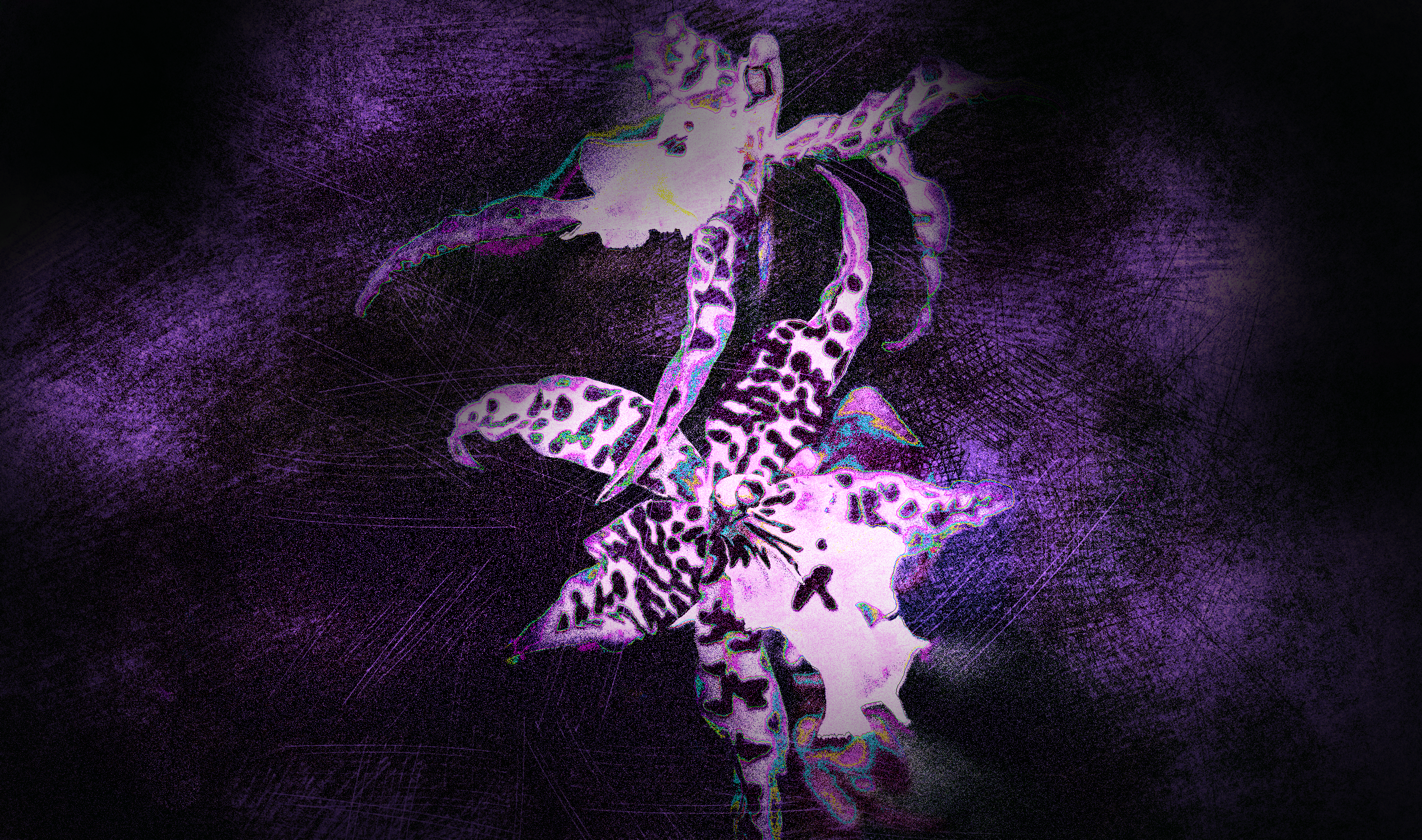 Orchid in artificial UVIVF